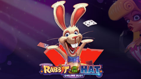 RABBIT IN THE HAT
