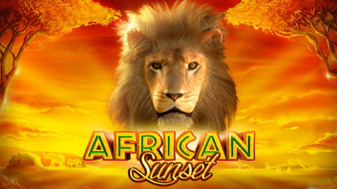 AFRICAN SUNSET
