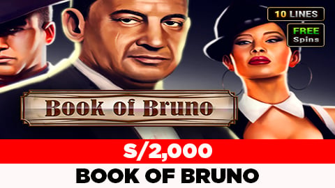 BOOK OF BRUNO