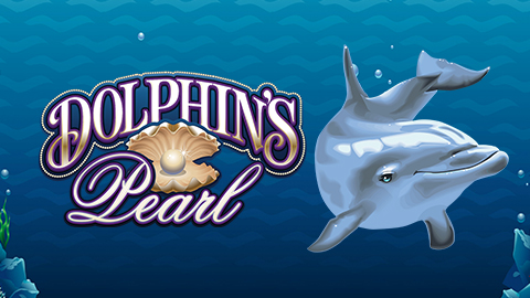 DOLPHINS PEARL CLASSIC