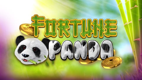 FORTUNE PANDA