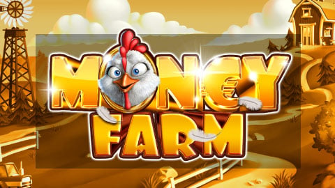 MONEY FARM
