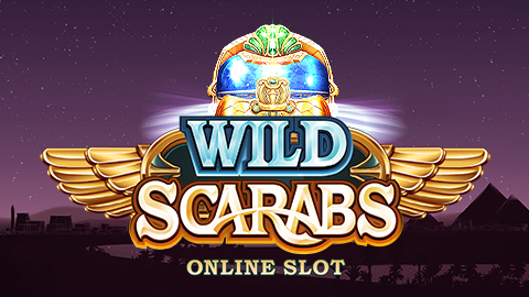 WILD SCARABS