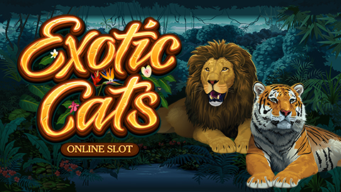 EXOTIC CATS