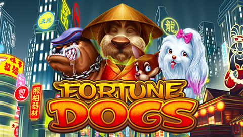 FORTUNE DOGS