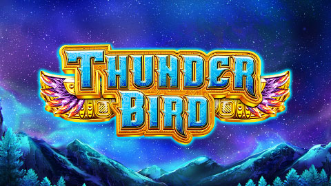 THUNDER BIRD