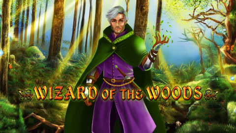 WIZARD OF THE WOODS