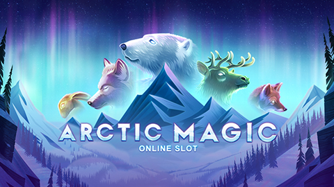 ARCTIC MAGIC
