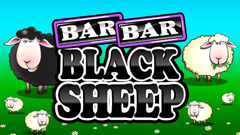 BAR BAR BLACK SHEEP