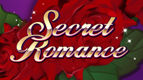 SECRET ROMANCE