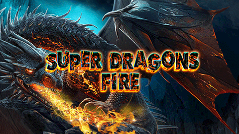 SUPER DRAGONS FIRE