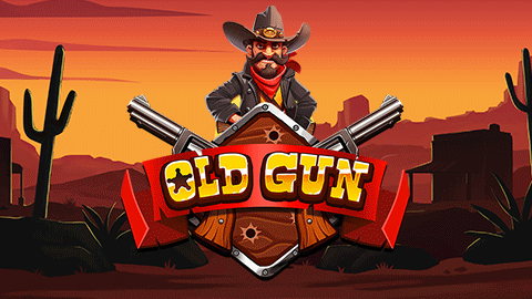 OLD GUN