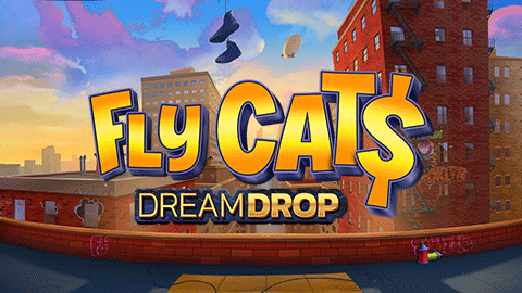 FLY CAT$ DREAM DROP