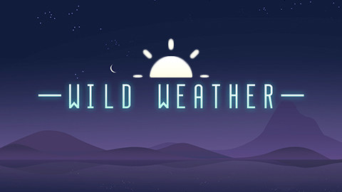 WILD WEATHER