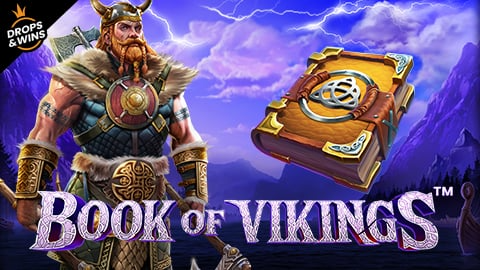 Book of Vikings
