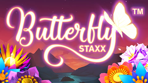 BUTTERFLY STAXX