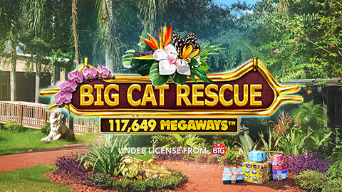 BIG CAT RESCUE MEGAWAYS