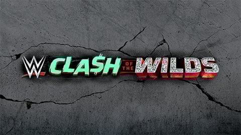 WWE: CLASH OF THE WILDS