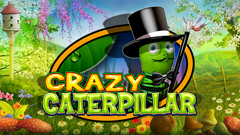 CRAZY CATERPILAR