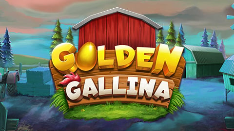 GOLDEN GALLINA