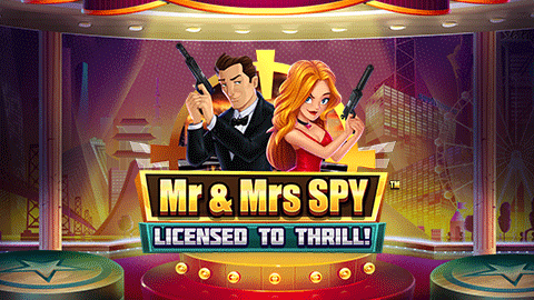 MR & MRS SPY