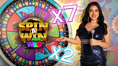SPIN A WIN WILD