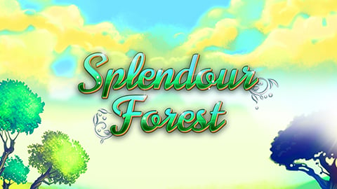 SPLENDOUR FOREST