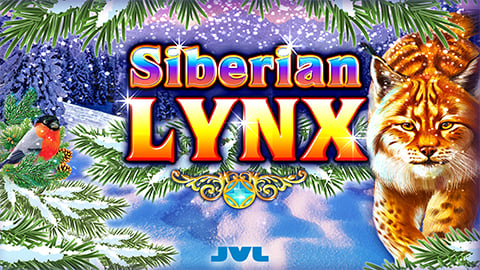 SIBERIAN LYNX