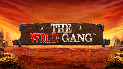 THE WILD GANG