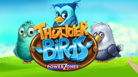 THUNDER BIRDS: POWER ZONES