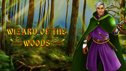 WIZARD OF THE WOODS