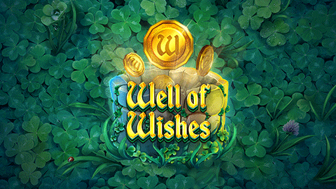 WELL OF WISHES