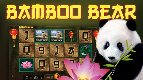 BAMBOO BEAR
