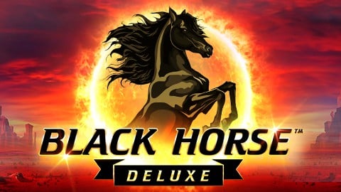 BLACK HORSE DELUXE