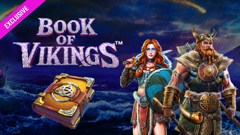 Book of Vikings