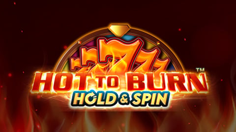 HOT TO BURN HOLD AND SPIN