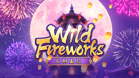 WILD FIREWORKS