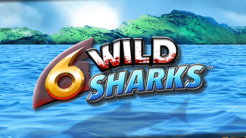 6 WILD SHARKS