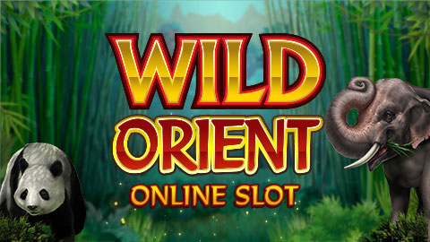 WILD ORIENT