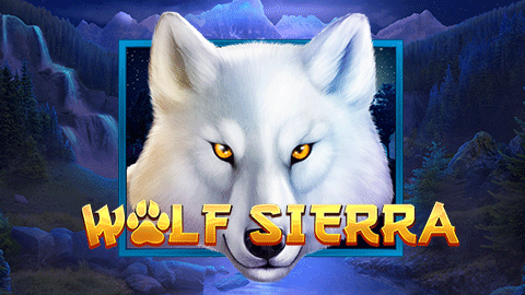 WOLF SIERRA